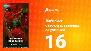 Лабиринт сверхчувственных ощущений 16 серия