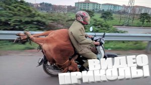 ЛУЧШИЕ ПРИКОЛЫ 2025 | ПРИКОЛЫ 2025 | СВЕЖИЕ ПРИКОЛЫ 2025 | РЖУ НЕ МОГУ |