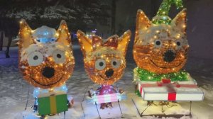 Новогодний Донской