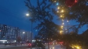 Давай наливай .Новогоднее настроение .Елка во 
дворе