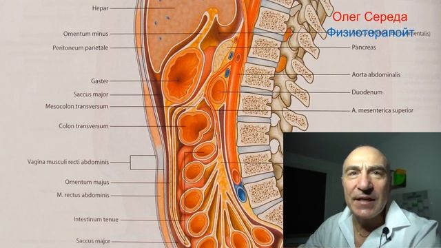 Pankreas. Поджелудочная железа. Панкреас смотреть онлайн