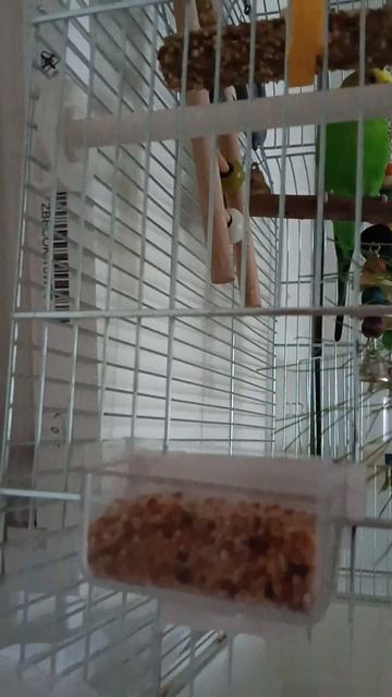 Что Федя ест? 