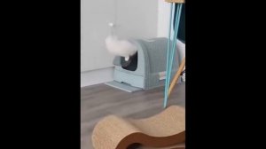 СМЕШНЫЕ ВИДЕОПРИКОЛЫ  Я РЖАЛ ДО СЛЕЗ  ОТБОРНЫE ПРИКОЛЫ 2026  Смешные видео - Лучшие ПРИКОЛЫ