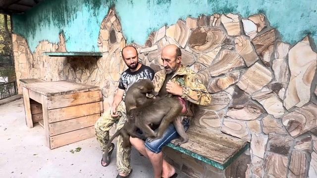 Сегодня все так ЧИННО и БЛАГОРОДНО!Степа катается на ноге как в детстве,а Люся обнимается и прячется смотреть онлайн