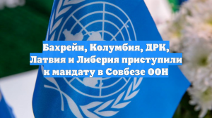 Бахрейн, Колумбия, ДРК, Латвия и Либерия приступили к мандату в Совбезе ООН