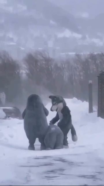 Хорошо отмечаем Новый год. смотреть онлайн