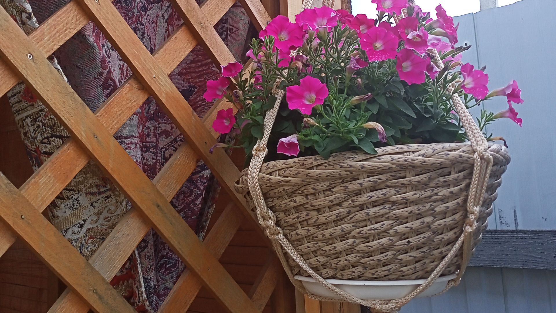 Кашпо из ротанга с косичкой. смотреть онлайн