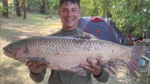 сезон 2025, первый раз поймал амура на Дону