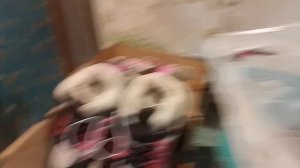 Съездила на шоппинг с детьми