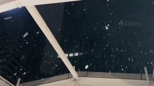 Первый за эту зиму снег пошёл в Токио — он выпадает в японской столице всего 1-2 раза в год