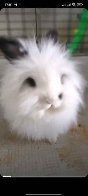 разговор, поездка, природа, музыка.