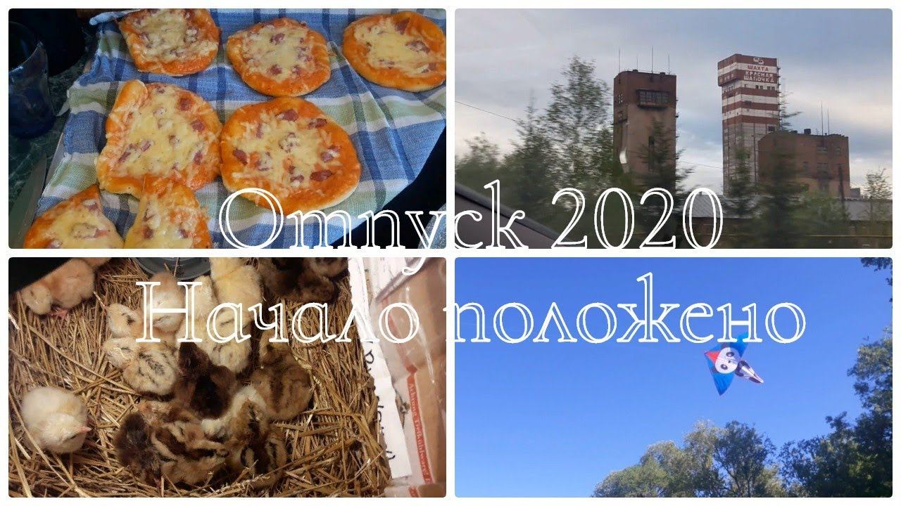 Vlog. Дорога. Приехали в деревню. Цыплята смотреть онлайн