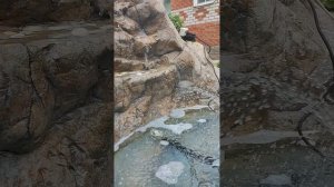 Альпийская горка с водопадом..mp4