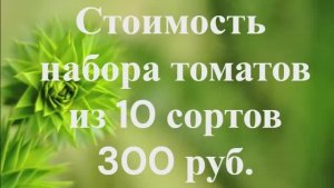 СКИДКИ на СЕМЕНА!  НАБОР семян ТОМАТОВ № 1.  т. 89229284031