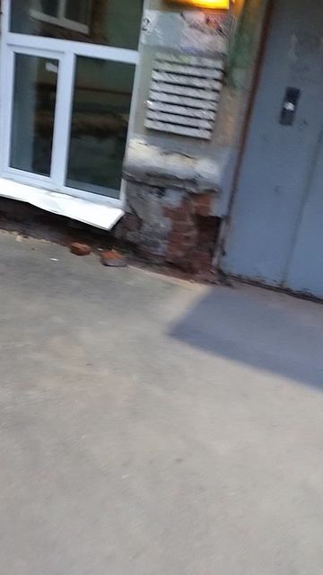 №594	Двор П. Осипенко 48. 19 августа 2025 г., 20:39:41 VID_20250819_203921028