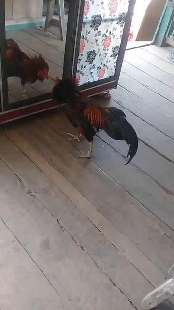 Такой концовки я и сам не ожидал (124) смотреть онлайн