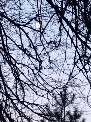 объясняю 5 размеров в литре