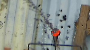 Леший 2 6.35 , 350 мм. стрельба по мишени 25 м