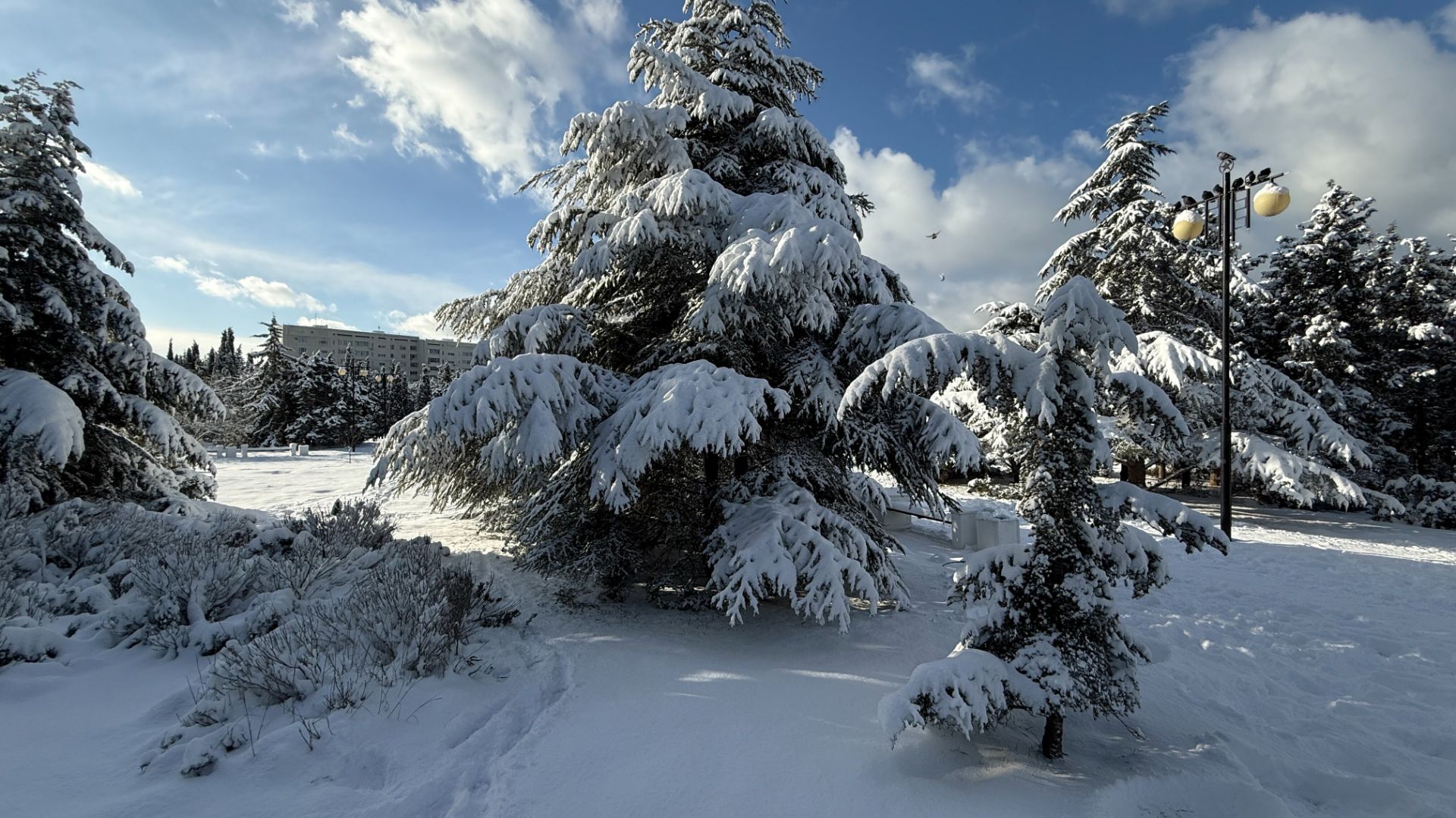 Новогодняя СКАЗКА. СЕВАСТОПОЛЬ в СНЕГУ. 1 Января 2026. смотреть онлайн