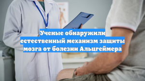 Ученые обнаружили естественный механизм защиты мозга от болезни Альцгеймера