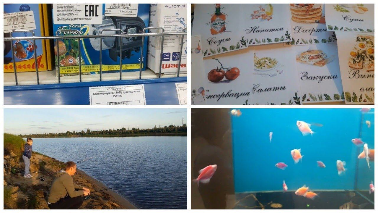 Vlog. Салат\ Книга рецептов\ Дела аквариумные\ Рыбалка смотреть онлайн