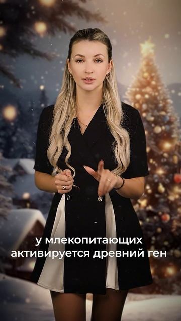 Фестиваль сонного дня | День за днём смотреть онлайн