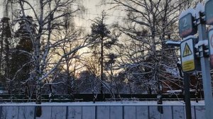 1 января - Подмосковье