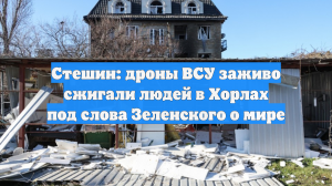 Стешин: дроны ВСУ заживо сжигали людей в Хорлах под слова Зеленского о мире