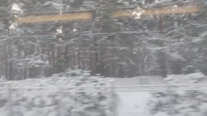 1 января обещанное солнце 🌞 от волшебника ...