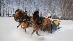 Ах, зима, зима. зима! стихи,  монтаж - Виктор  Михнев, музыка + SUNO