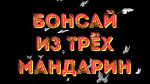 Бонсай Сабамики.