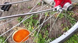 проверил сьездил за красными смородинами