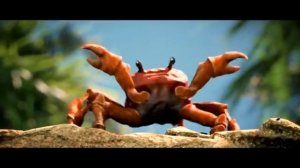 @NOISESTORM_CRAB RAVE