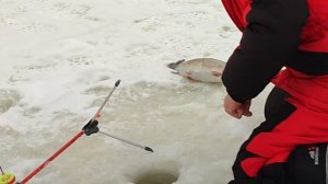 Основной водоём. На резину