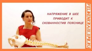 Упражнения для поясницы. Метод Фельденкрайза.