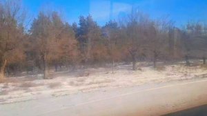 02. 01. 26   Еду с Калача на Дону с Магнита 🛍