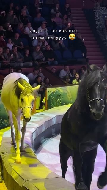 Белая ворона смотреть онлайн