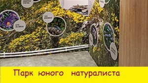Парк юного натуралиста