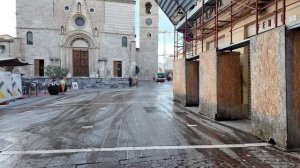 Колобок из Одессы про боевых петухов-щеневмерликов.