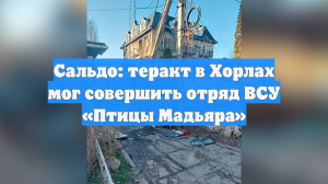 Сальдо: теракт в Херсонской области мог совершить отряд ВСУ «Птицы Мадьяра»