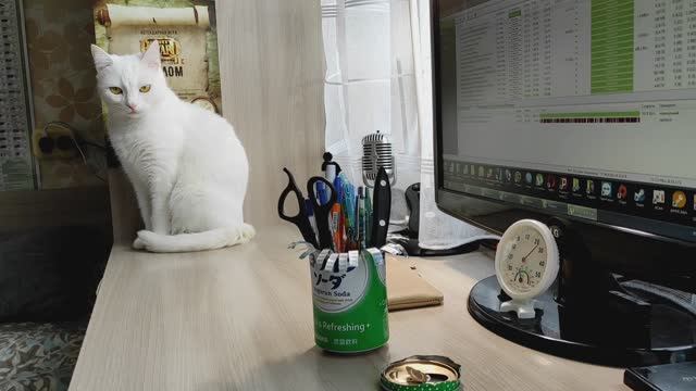 Подставка для карандашей своими руками смотреть онлайн