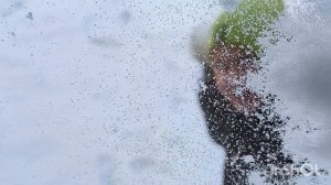 Зимнее чудо