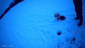 Сегодня порыбачил на Жерлицы🎣 Клёв вялый, но все таки удалось поймать не плохую щуку👍