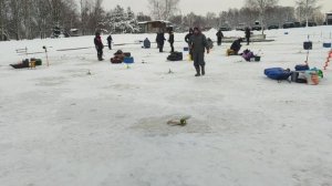 video5384439038289678991