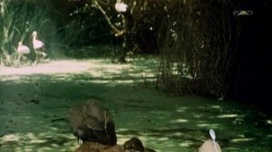 Нормальные герои всегда идут "в обход"