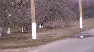 Охримовка - 1