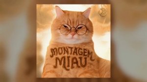 MONTAGEN_MIAU