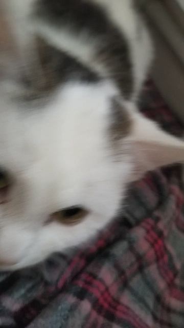 Помылись смотреть онлайн