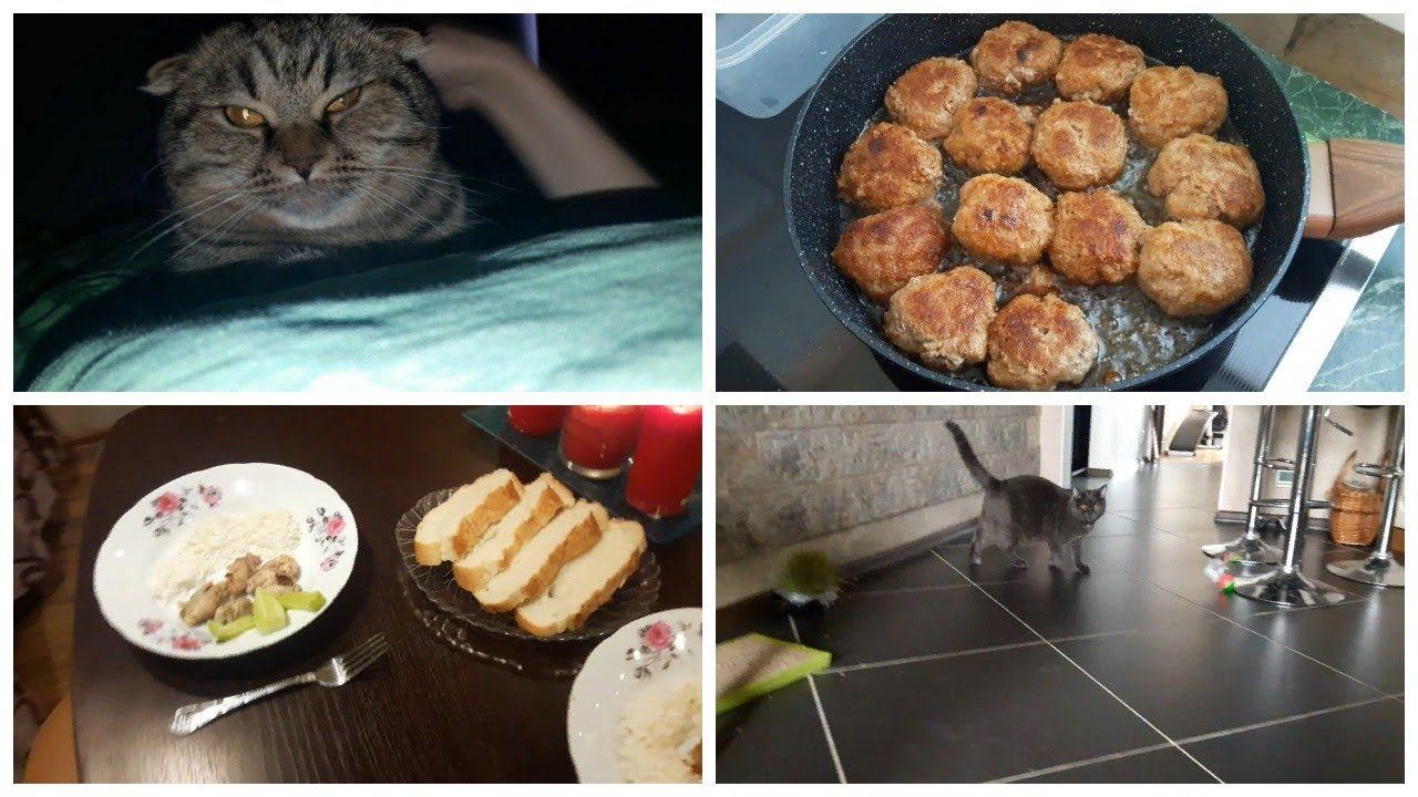 Vlog. Лайтовый день\ Котики смотреть онлайн