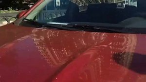 Ростов  на дону. Пушкинская.   летом 2019